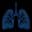 Advanced Lung Diagnostics