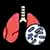 Tuberculosis and Respiratory Disease