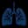 Advanced Lung Diagnostics
