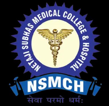 NSMCH logo