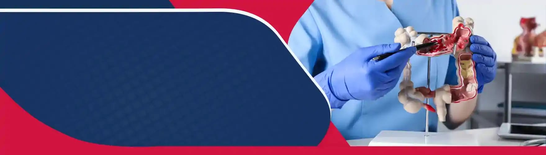 Department of <b>Gastroenterology</b>