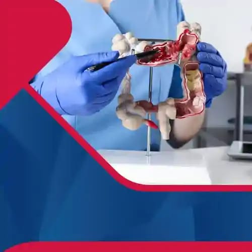 Department of <b>Gastroenterology</b>