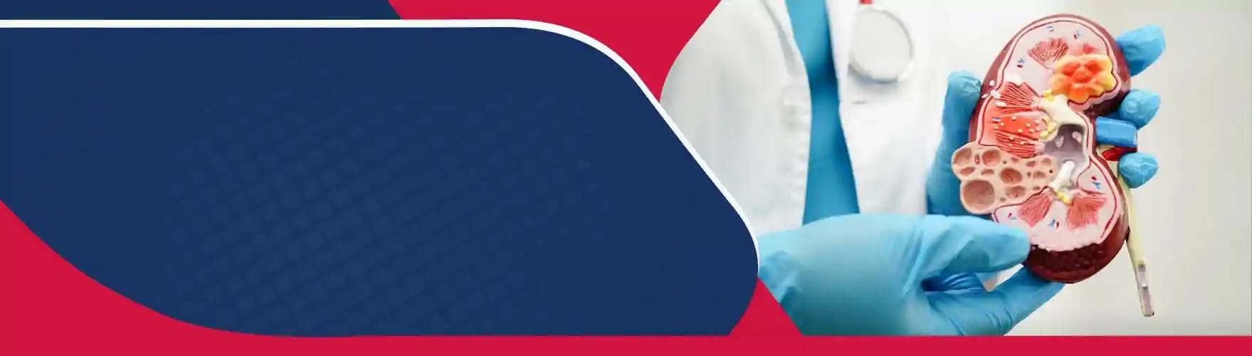 Dept. of <b>Nephrology with Dialysis </b>