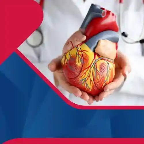 Department of <b>Cardiology</b>