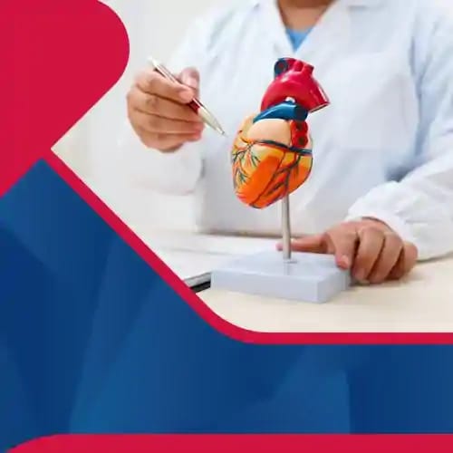 Department of <b>CVTS</b>