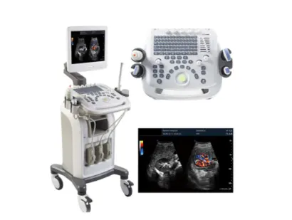 Portable Diagnostic System